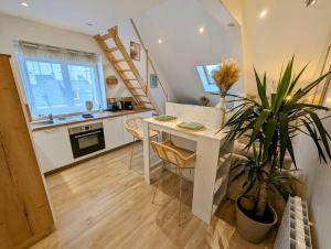 Appartements Ibiza- l-escapade a saint Brieuc : photos des chambres