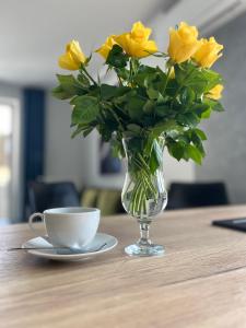 Nowy Apartament Mikołowska Premium