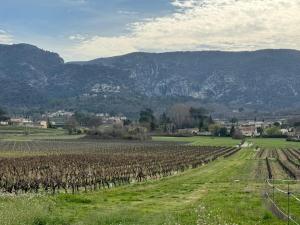 Villas Villa Nicole avec piscine & jardin prives, parking dans le coeur du Luberon, proche Gordes, Roussillon, Goult, Bonnieux : photos des chambres