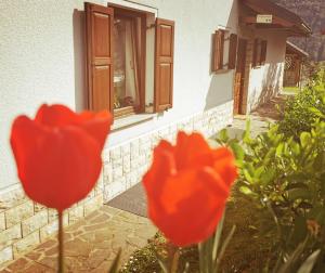 Apartma Pri noni Silvi