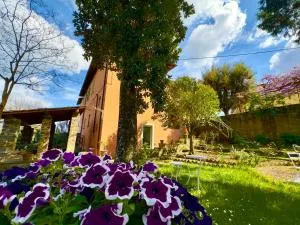 Villa i Lecci - The Gate of Chianti - San Cerbone