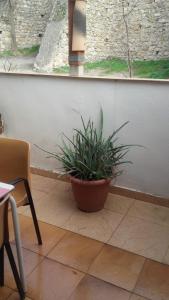 Casa Avenida Guadalquivir