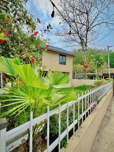 Homestay Havana Làng Chài Vinh Sơn Sầm Sơn - Tri Lê