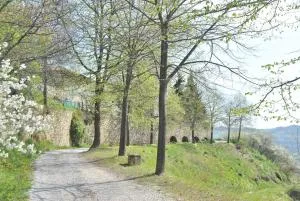 Agriturismo La Rovere - Cessole