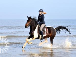 Gezellige 6-persoons vakantiewoning vlakbij het strand in Domburg op Ponyhof Aagtekerke