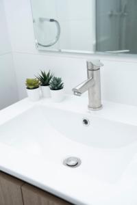 Centro Cívico | Compañía | Piscina | GYM | Wi-Fi | Terraza y Parrilla | Security 247