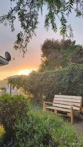 Tiny house experience - Rungue