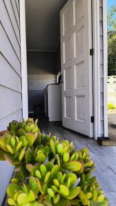 Tiny house experience