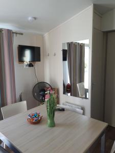 Mobil Home Ohana Camping du Ried