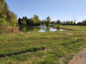 Campings Mobil Home Ohana Camping du Ried : photos des chambres