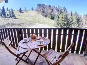 Y Hôtes- Ambiance Montagne T2 Station Hirmentaz - Vailly