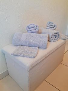 Appartements Y Hotes- Ambiance Montagne T2 Station Hirmentaz : photos des chambres