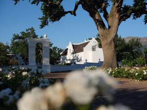 Adara Palmiet Valley Luxurious Boutique Farm Hotel - Unrated properties in Paarl
