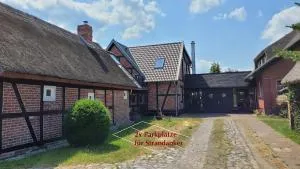 Strandanker - Leopoldshagen