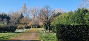 Campings Camping maeva Escapades La Riviere Doree : photos des chambres