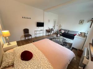 Sejours chez l'habitant La cigale et la fourmi savoisienne - chambre chez l habitant : photos des chambres