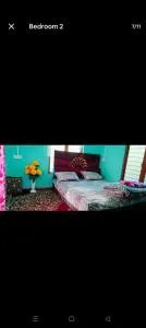 River view home stay - Kanzalwan