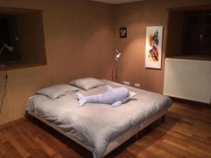 Villas Villa spacieuse avec piscine a Le Chambon-sur-Lignon : photos des chambres