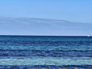 La flabellina blu img49