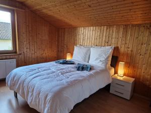 Swiss Chalet direkt am Thunersee