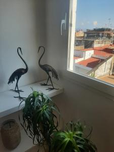 Toledo panoramic Rooftop in Naples