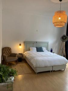 Stylish charming apartment in the best area