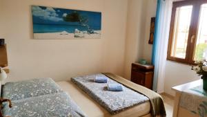 casa su rimediu img24