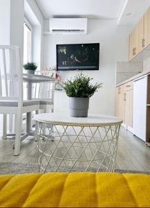 Studijos tipo apartamentai