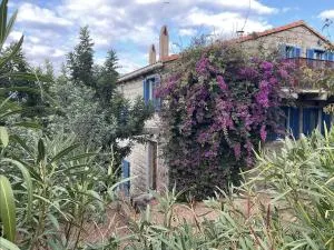 Le moulin de Figari - 菲加里