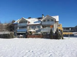 Appartement Feldkirch In Feldkirch - 施伦贝格