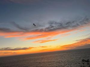 Casas del Acantilado - Acapulco