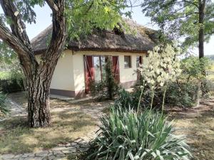 Nádas Tanya 2 maisons en pleine nature et Piscine