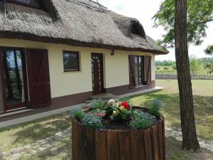 Nádas Tanya 2 maisons en pleine nature et Piscine