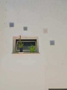 Two-room apartment in the historic center