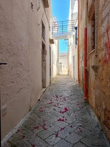 Two-room apartment in the historic center - Sogliano Cavour