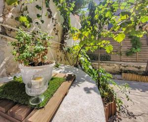 Le Refuge Méditerranéen