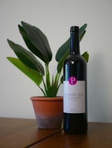 A SELVA T2 in Caniço