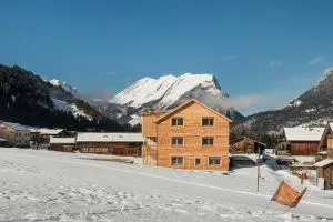 tinnes apartments - 布雷根茨沃尔德地区奥