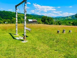 Cabana Maramures Landscape