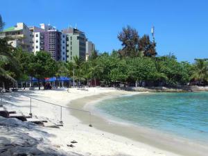 Comfy 2 BHK Apartment in Central Male