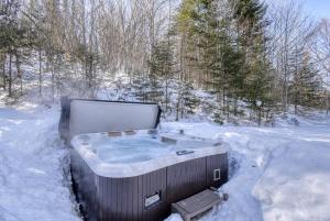 Le Bûcheron Rustic Chalet with Spa and Lake Access