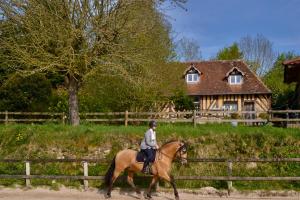Maisons de vacances La Chevalerie : photos des chambres