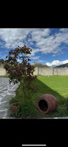 Wine tasting - Kitesas wine cellar