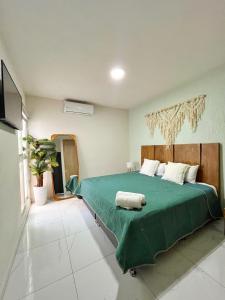 Departamento planta baja con alberca a 5 min de playa!