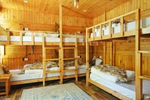 Ailyak Stays and Cafe, Shoja, Jibhi