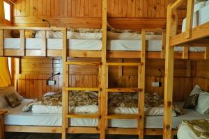 Ailyak Stays and Cafe, Shoja, Jibhi