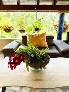 House near Marial stone and old Peñol replica