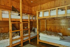 Ailyak Stays and Cafe, Shoja, Jibhi