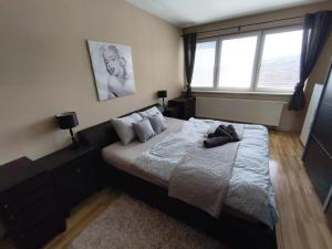 Centrum apartment - 3hvězdičkové hotely ve městě Banská Bystrica