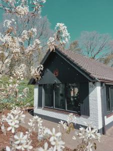 HottuB - Wellnesshuisje - Bos - Oudveluwe